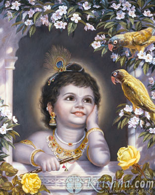 Shri Krishna - Shri Krishna