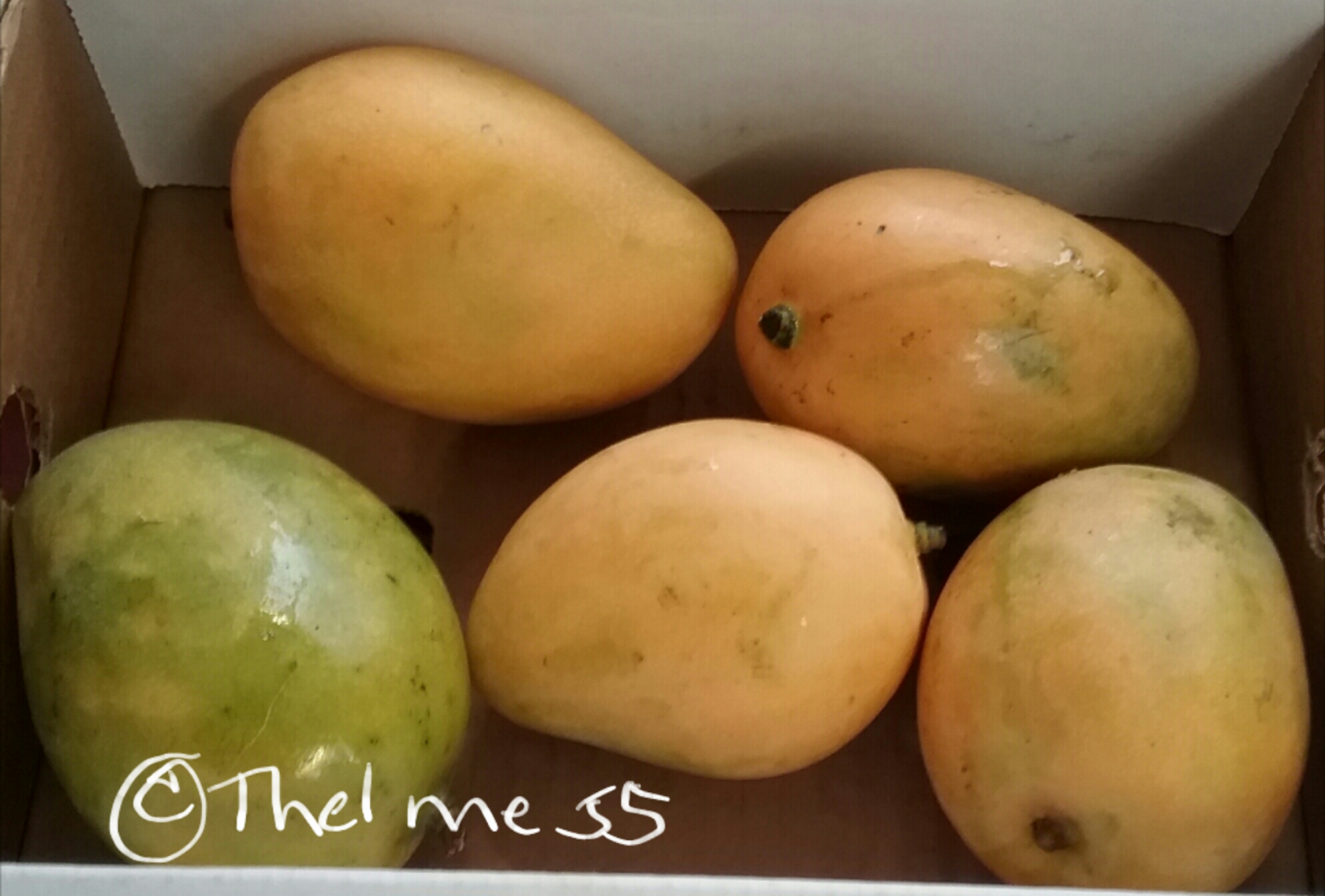 Thai mango sold in the shop where I work. Thai mango sold in the shop where I work.