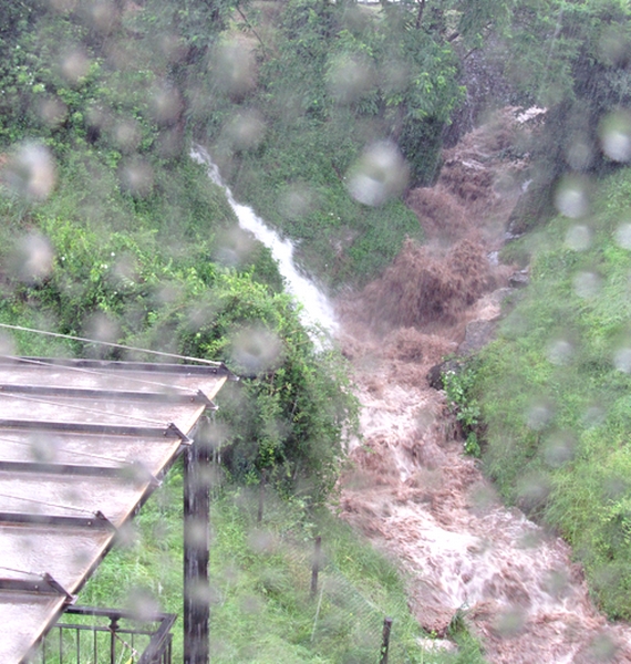 The stream in front of our home.