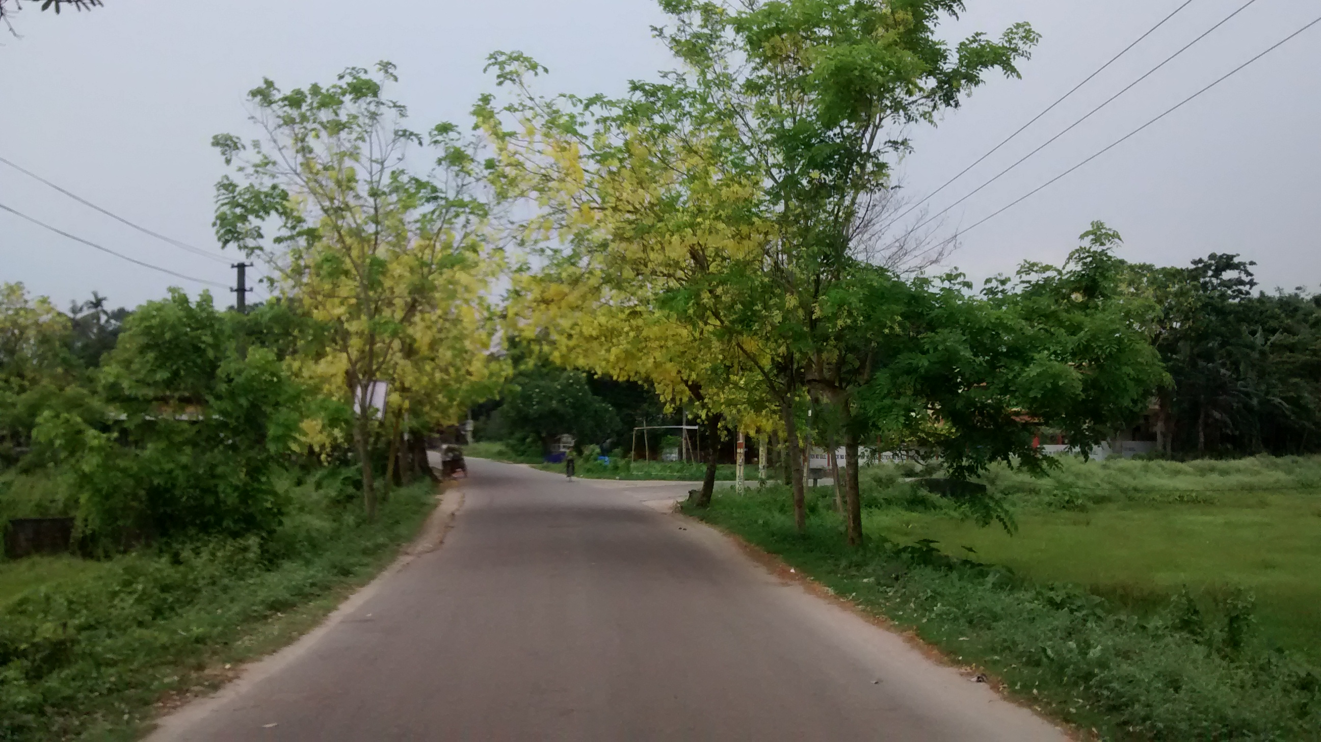 My photo during my travels. My photo during my travels.