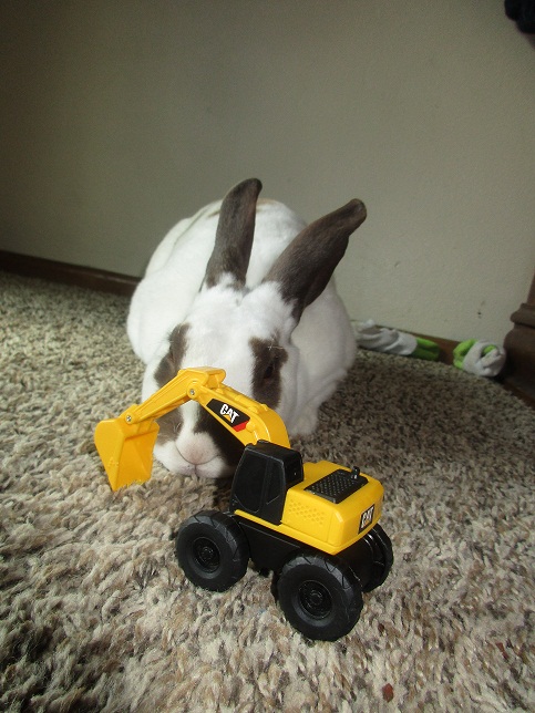 Mine!