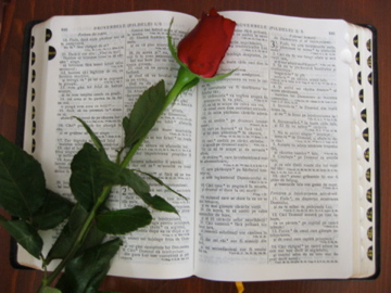 A lot of these great sayings have their roots within the Christian bible!