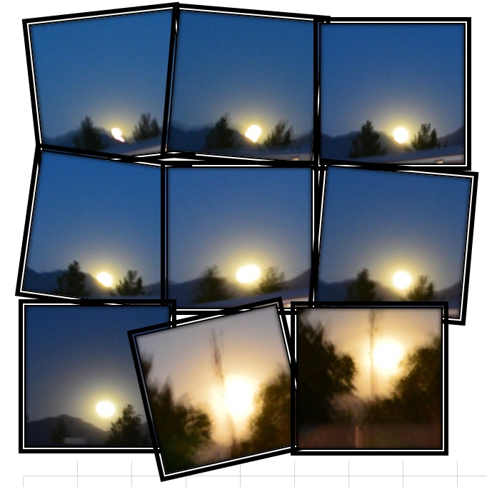 Oh how fuzzy, but I did try......... Oh how fuzzy, but I did try.........