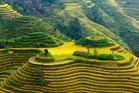 scenery - the terraced field in china is very grand.