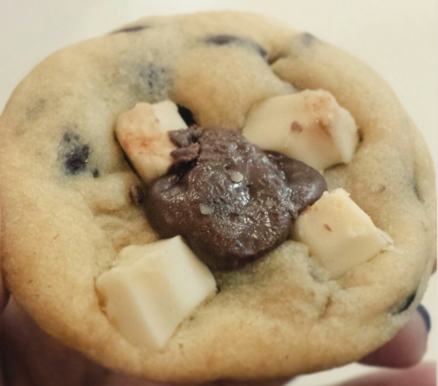 Soft, chewy, cookies, chocolate chip, nutella