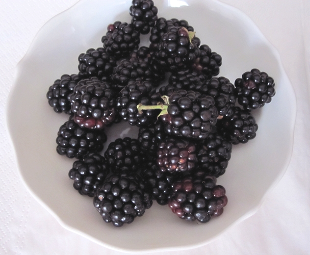 The blackberries from my garden.