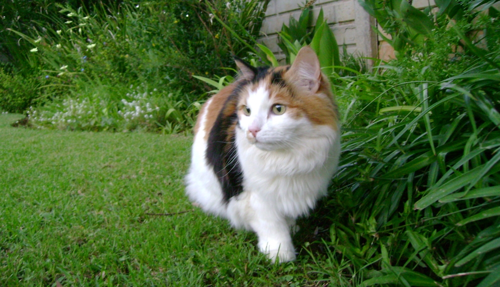Sabrina Sabrina