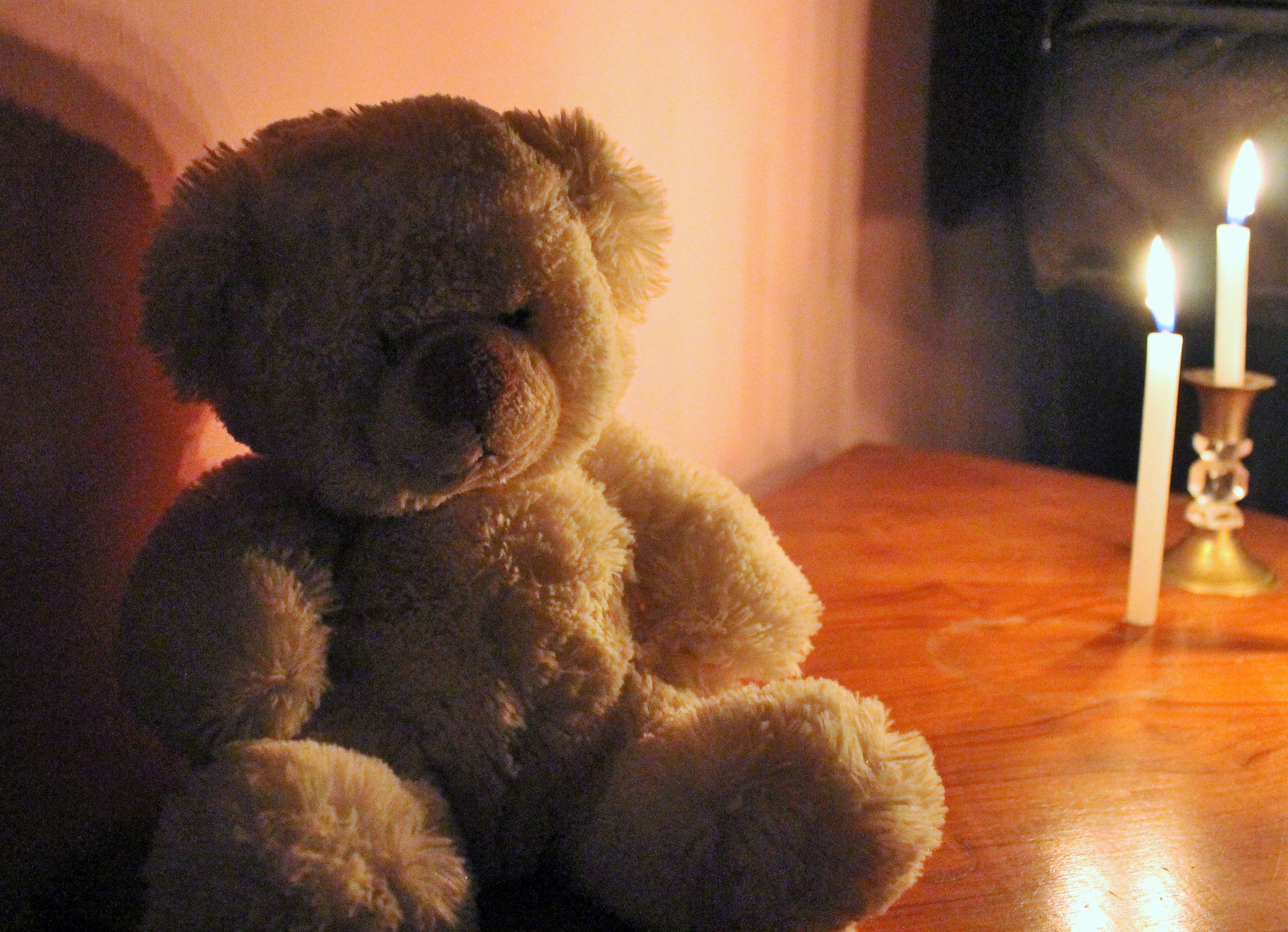 Teddy in the light, sofspics