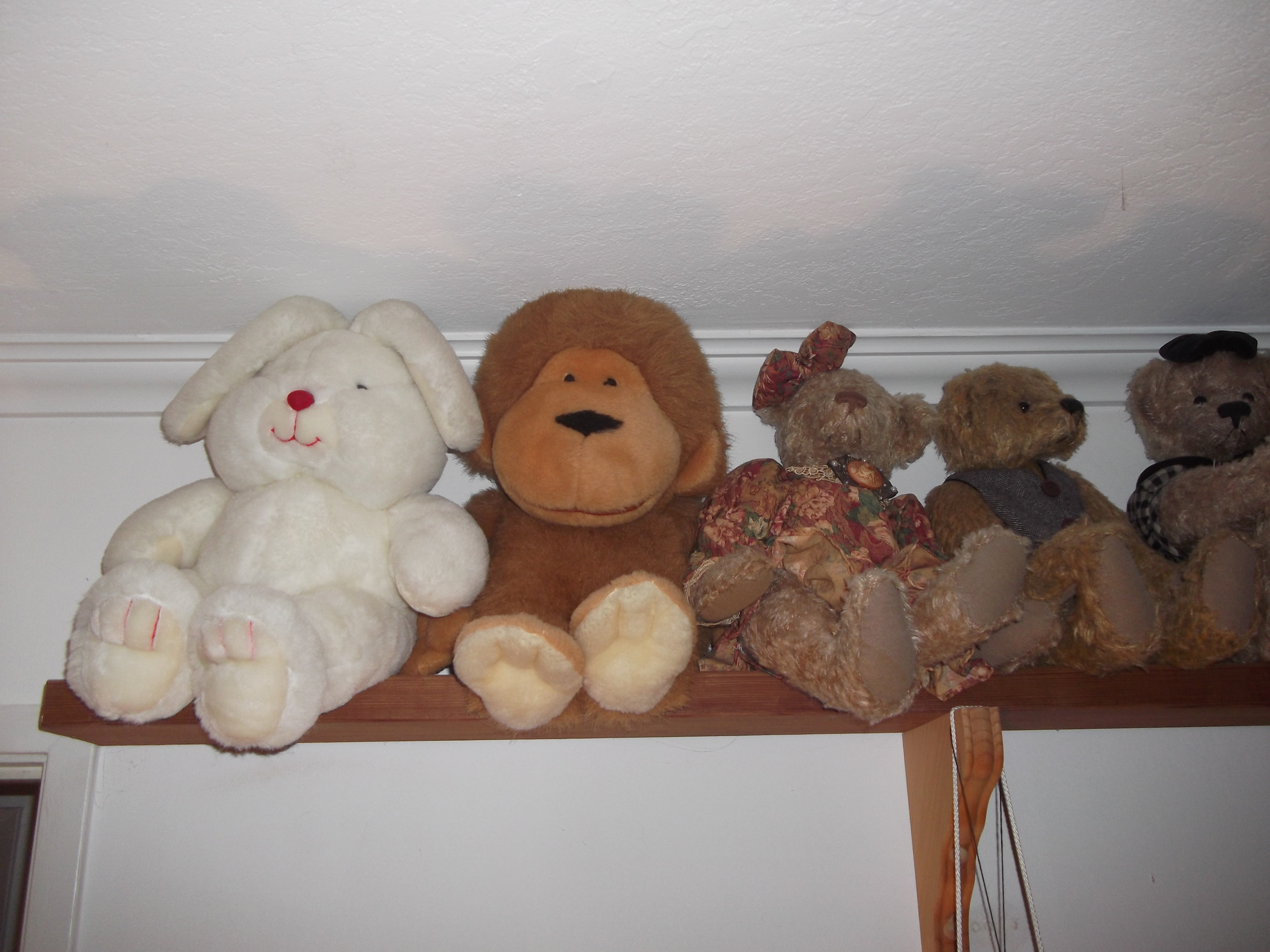 A photo I took a a few of my bear (and critter) collection back in 2014 A photo I took a a few of my bear (and critter) collection back in 2014