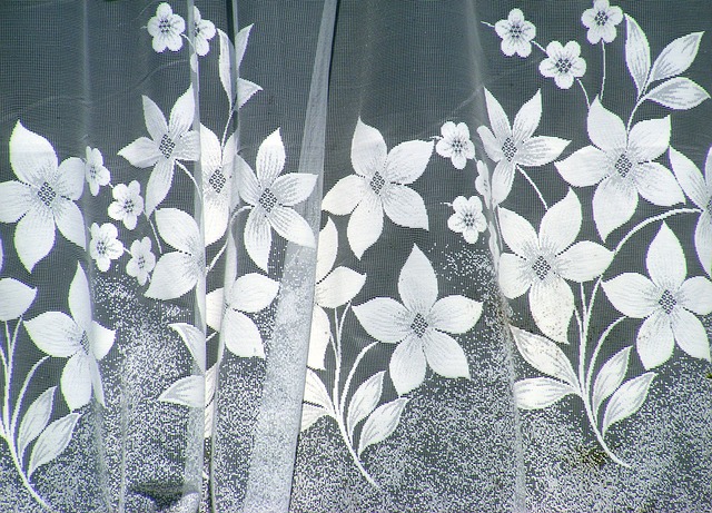 https://pixabay.com/en/curtain-window-glass-lace-decor-13823/ by coffee https://pixabay.com/en/curtain-window-glass-lace-decor-13823/ by coffee