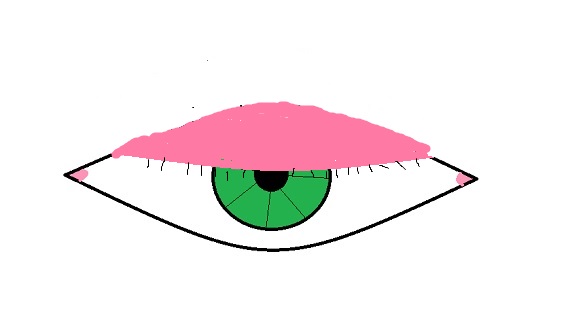 Created by me on Microsoft Paint Created by me on Microsoft Paint