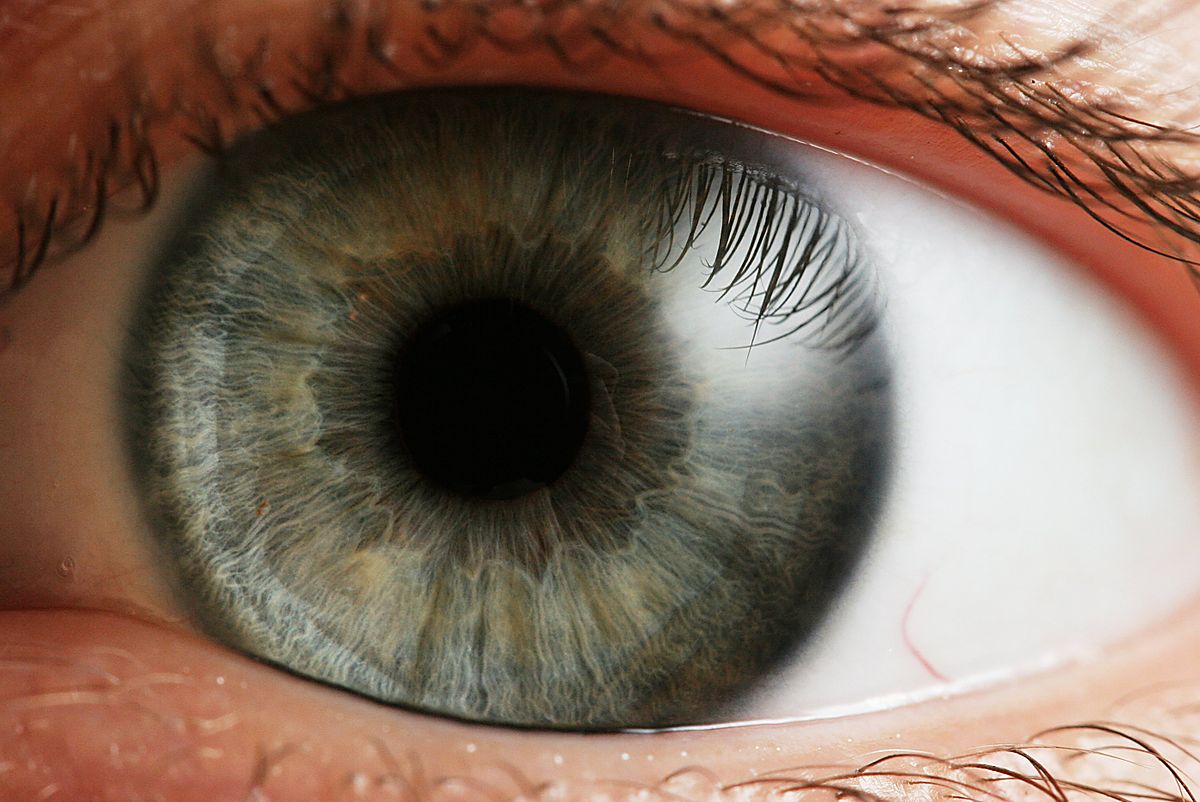 Do our eyes reveal the real us to others, or not?Are they the window into our souls?