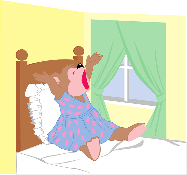 https://pixabay.com/en/bed-bear-window-bedroom-yawning-46198/