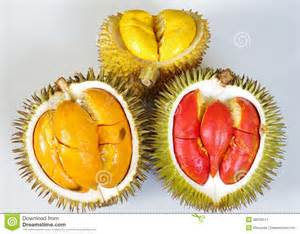 durian durian