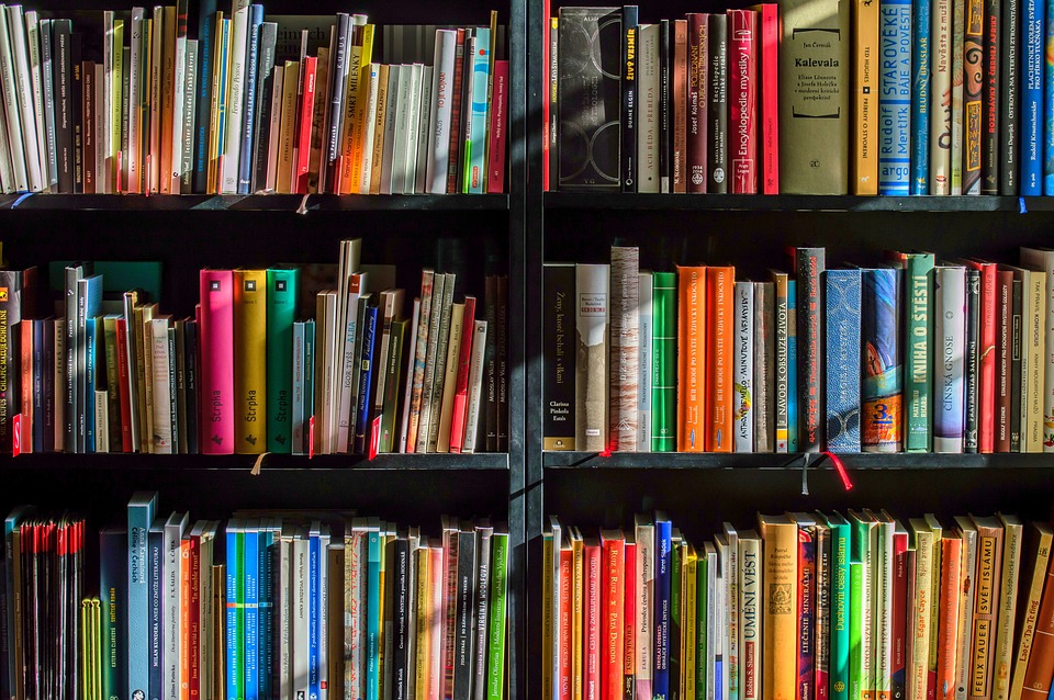 https://pixabay.com/en/books-bookstore-book-reading-shop-1204029/
