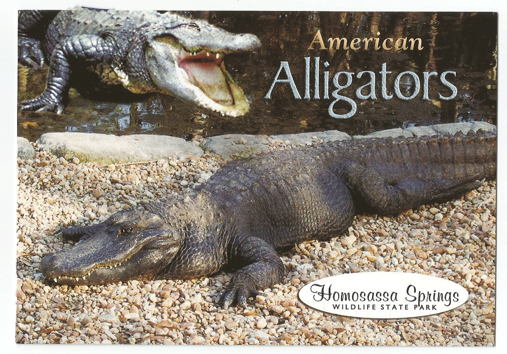 Homosassa Springs