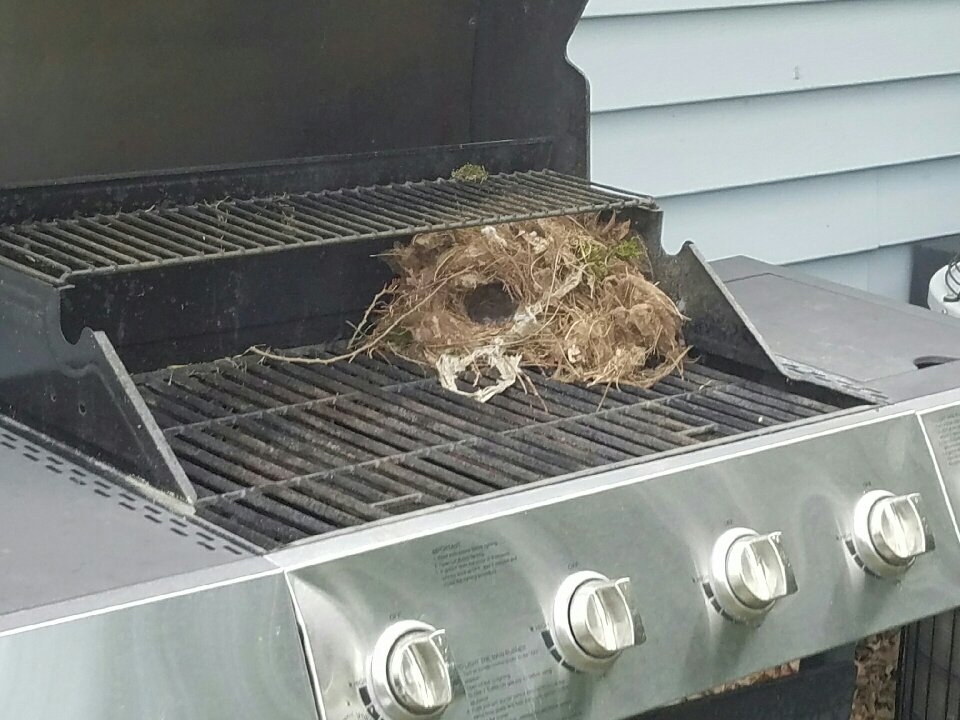 Ewww Ewww
