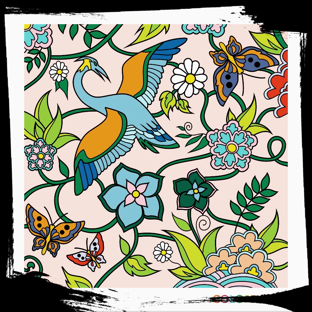Another Colorfy Image Another Colorfy Image