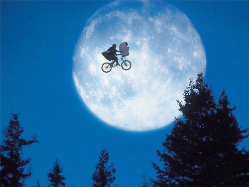 fly - fly for your dream