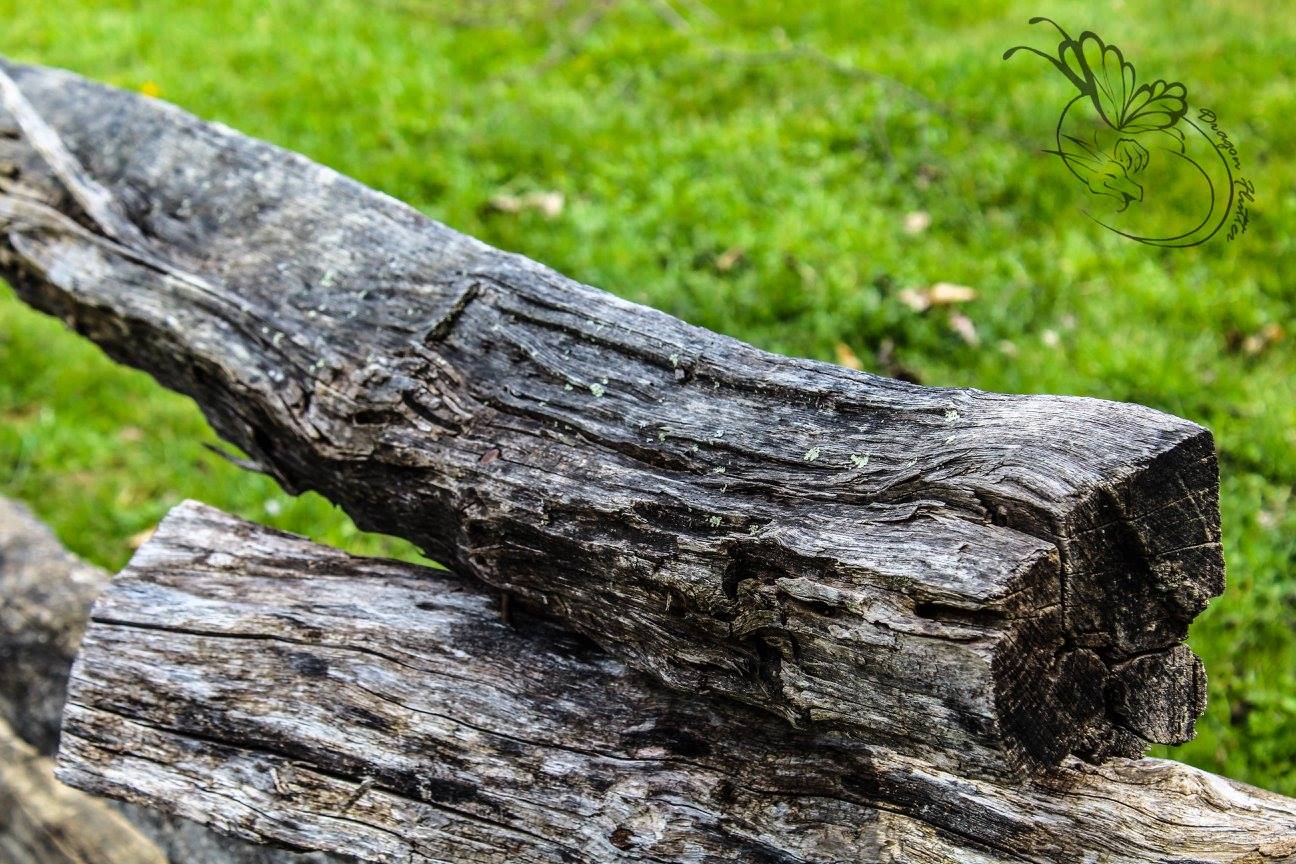 wooden, fence, grass, green, photoshop