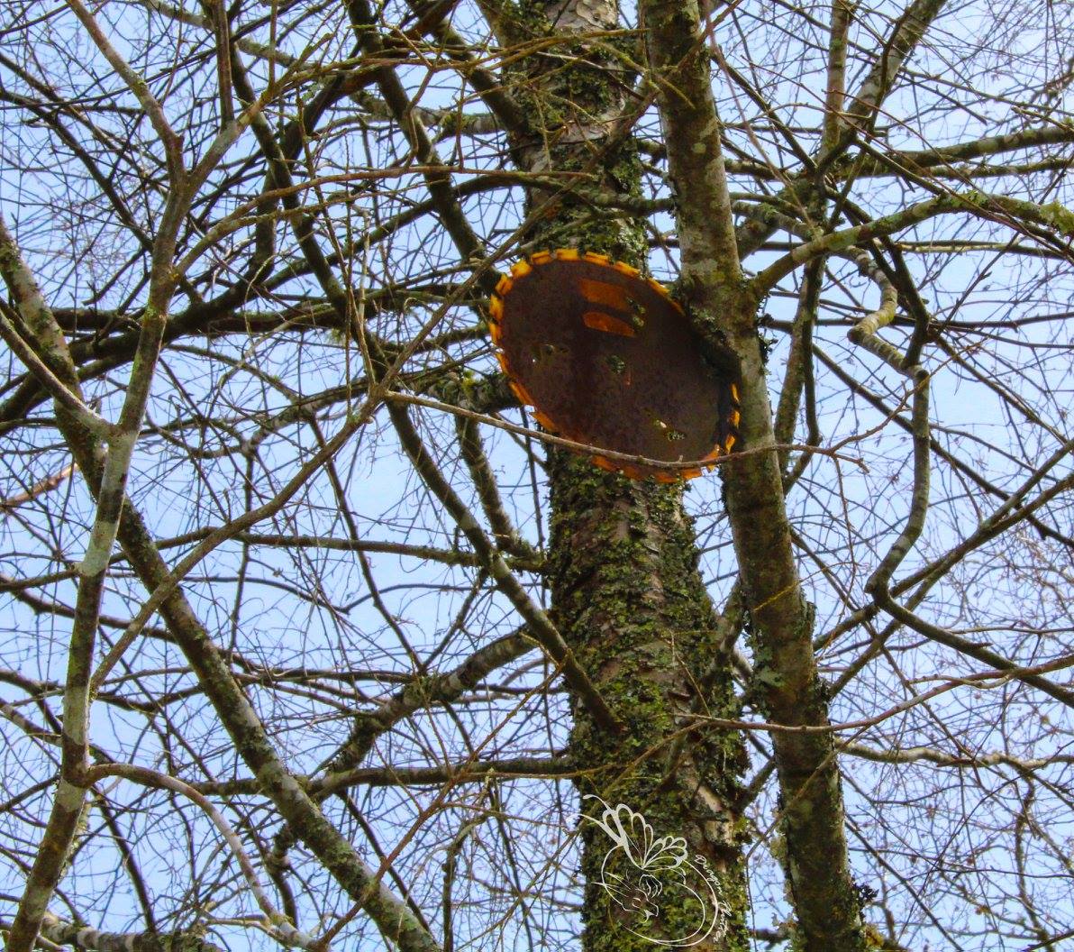 saw, tree, random, metal, canon camera, saw, tree, random, metal, canon camera,