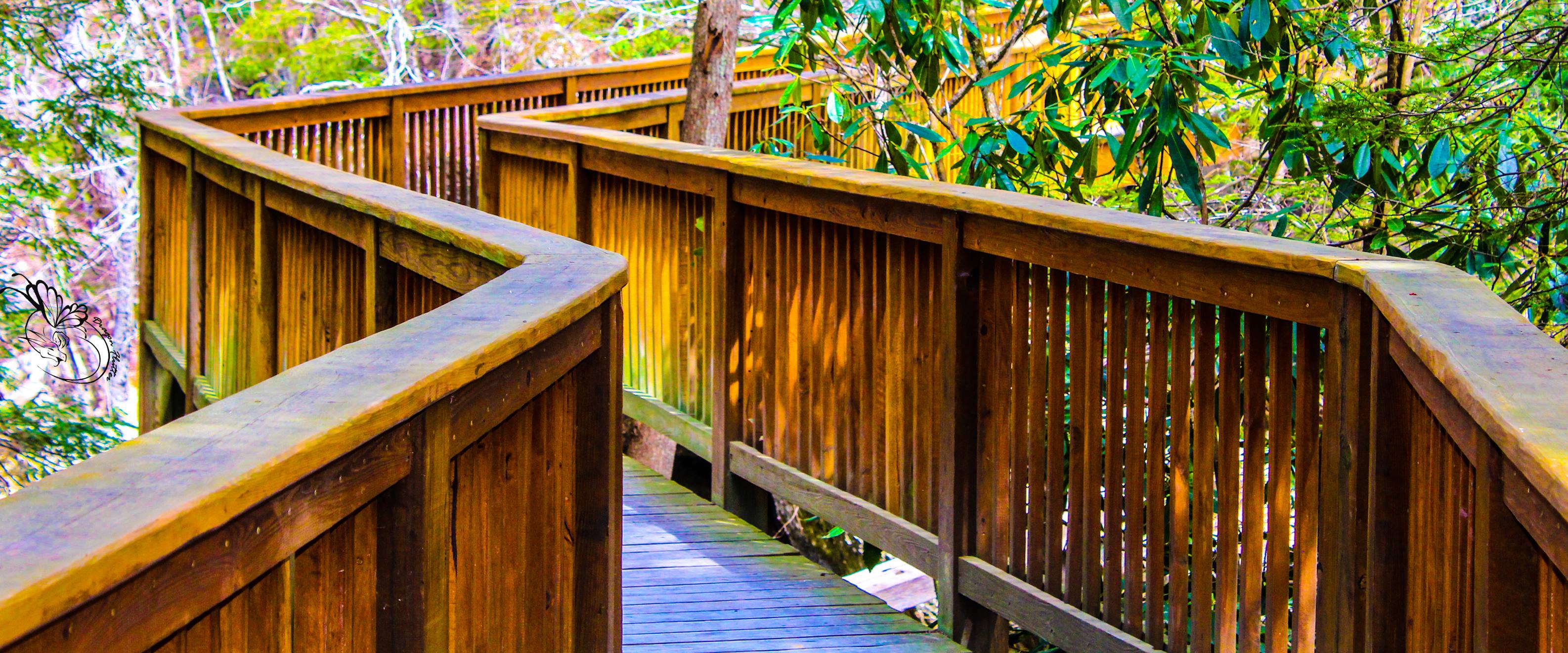 photo, bridge, elk river, outside 