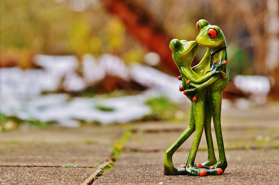 https://pixabay.com/en/valentine-s-day-love-frogs-pair-1159281/