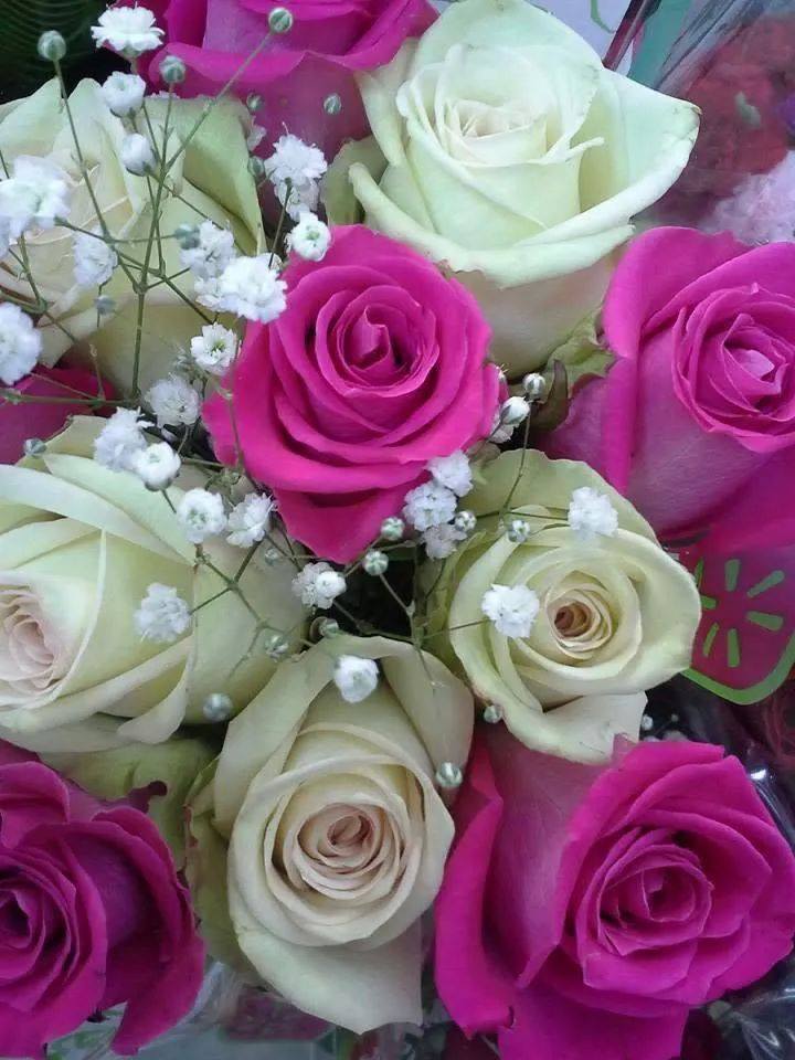 Roses for you mylotters