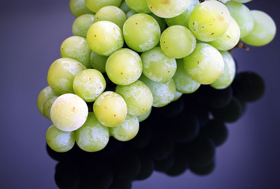 https://pixabay.com/en/grapes-frozen-fruit-summer-organic-1476089/