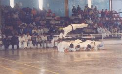 martial arts - tiger jump is very difficilt to do. for this great amount of practice is required. in this picture a martial artist student is performing tiger jump over 7 fellow martial artists