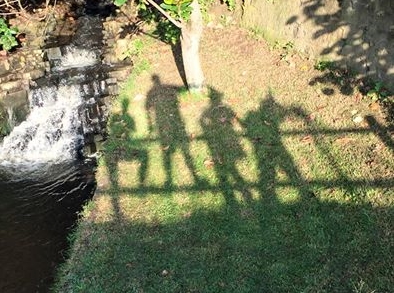 Shadows Shadows