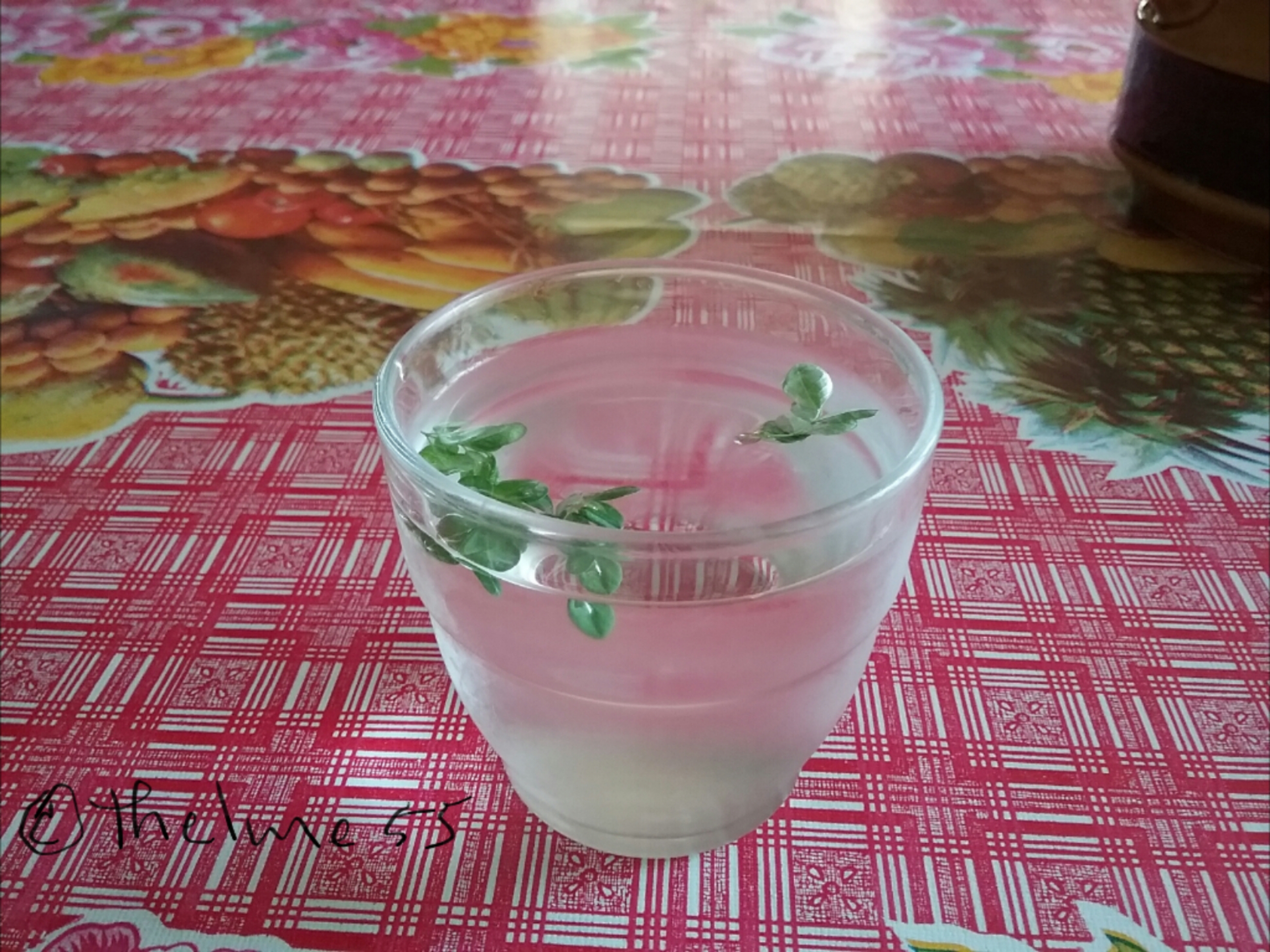 Moringa infused water by thelme55 Moringa infused water by thelme55