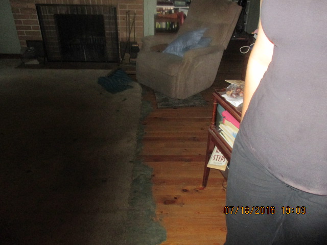 The flooring underneath carpet before it was completely removed The flooring underneath carpet before it was completely removed