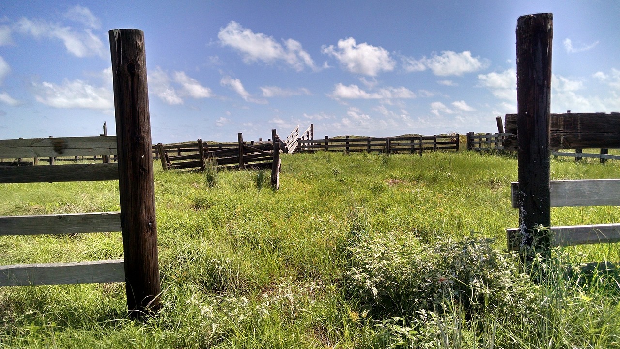 https://pixabay.com/en/ranch-abandoned-landscape-fences-1286051/