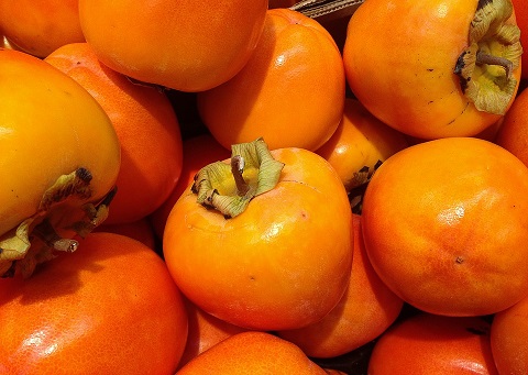 persimmons