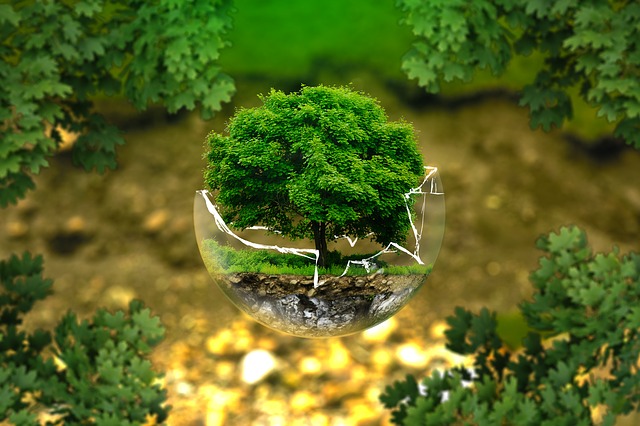 Environment protection - Image by Pixabay