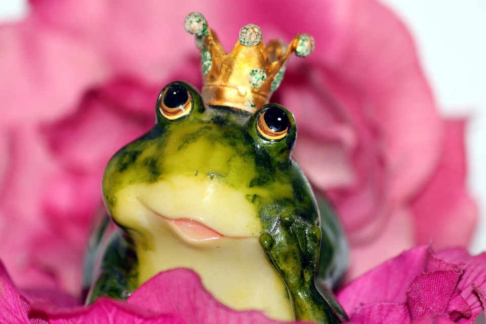 https://pixabay.com/en/frog-prince-crown-flower-dreamy-1370022/ https://pixabay.com/en/frog-prince-crown-flower-dreamy-1370022/