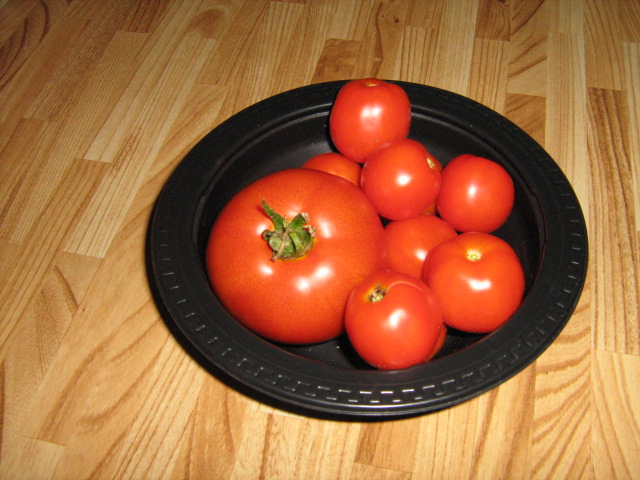 tomatoes,