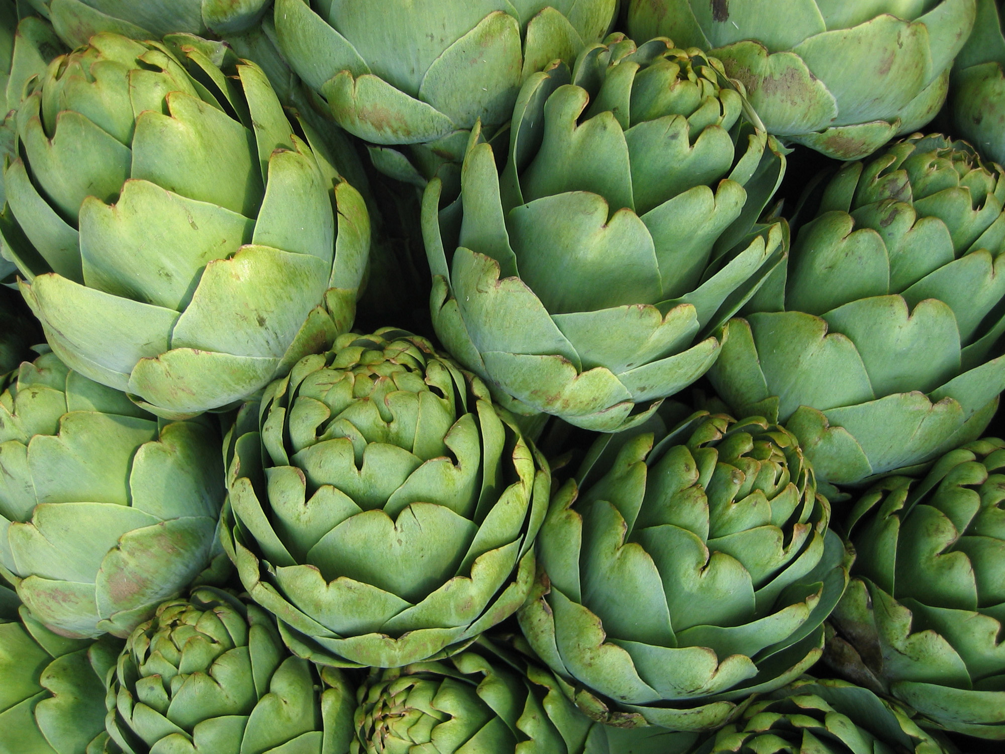 Globe Artichokes on a market stall ready for cooking