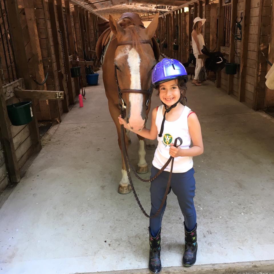Walking the horse to the riding rink Walking the horse to the riding rink