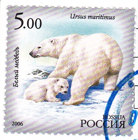 Russian Polar bear Stamp Russian Polar bear Stamp