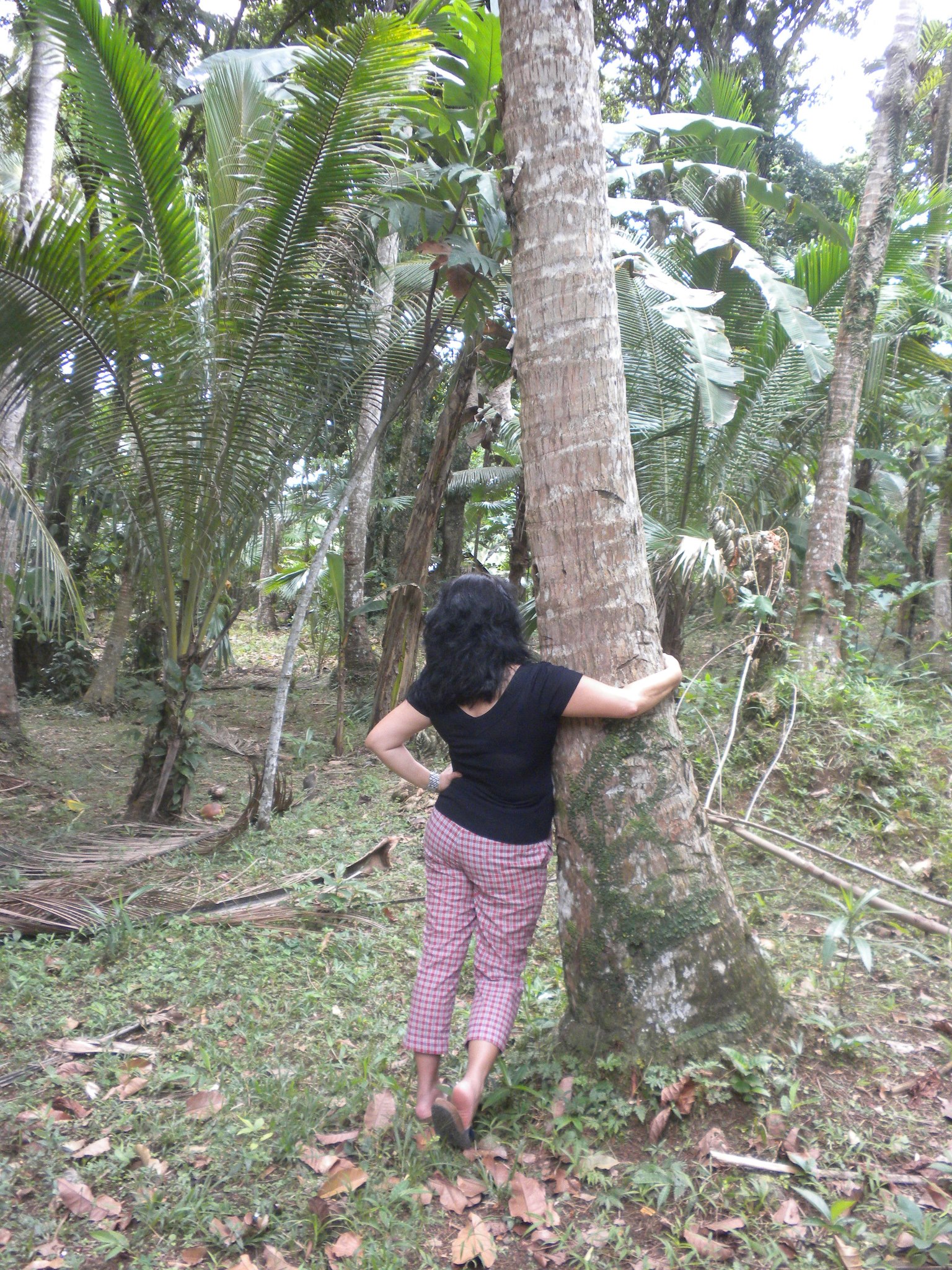 TreeHugger*epiffanie* TreeHugger*epiffanie*