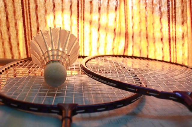 image credit: pixabay (badminton) image credit: pixabay (badminton)