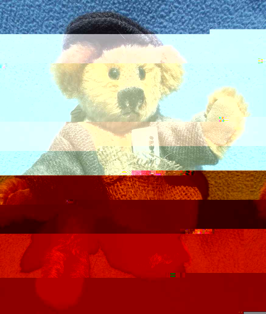 Photo I took of a bear from my collection with "Gliched" effect on LunaPic.com