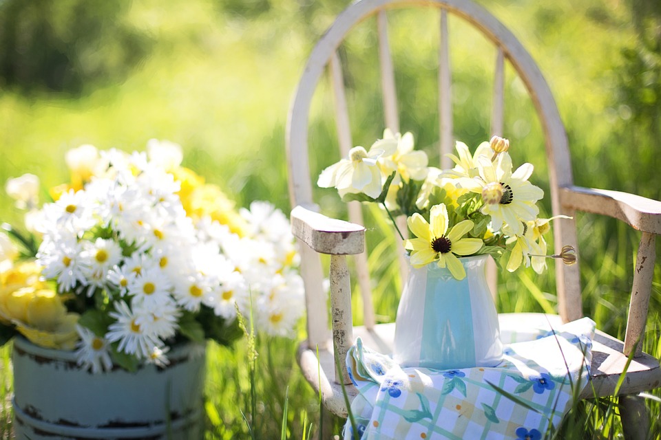 https://pixabay.com/en/summer-still-life-daisies-yellow-779385/