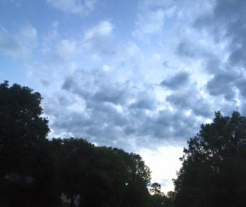Picture I took on my morning walk Picture I took on my morning walk