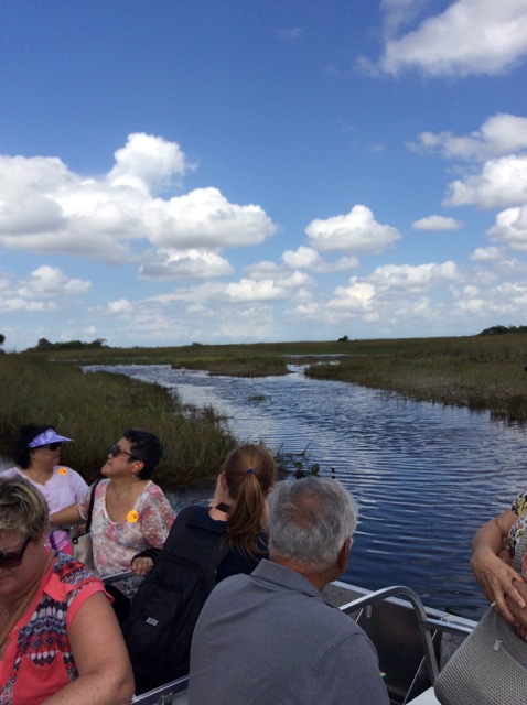 The Florida Everglades