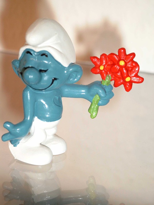 https://pixabay.com/en/smurf-fig-bouquet-blue-flower-red-115424/