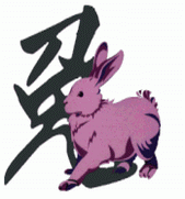 Year of the Rabbit