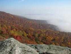 Lookout Mountain - Picture of Lookout Mountain in the morning fog.